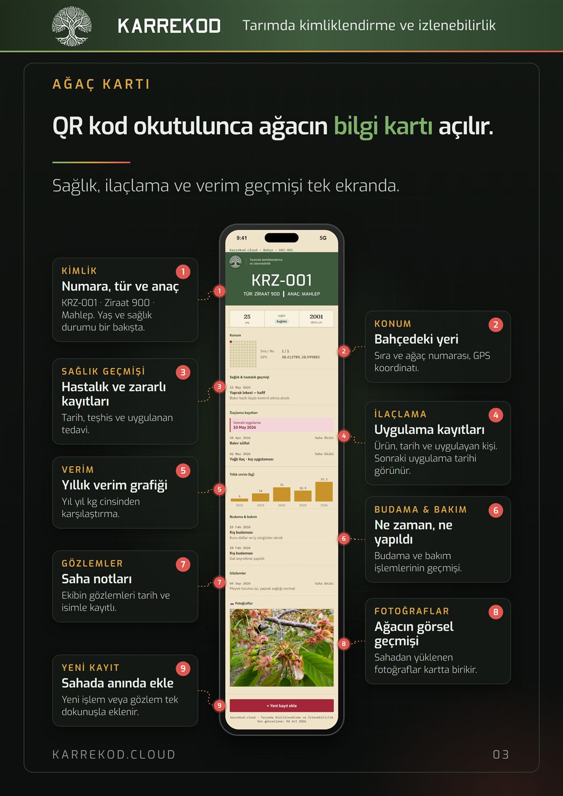 Ağaç kartı